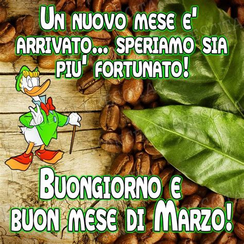 buongiorno 13 marzo 2024 immagini|buon giorno frasi.